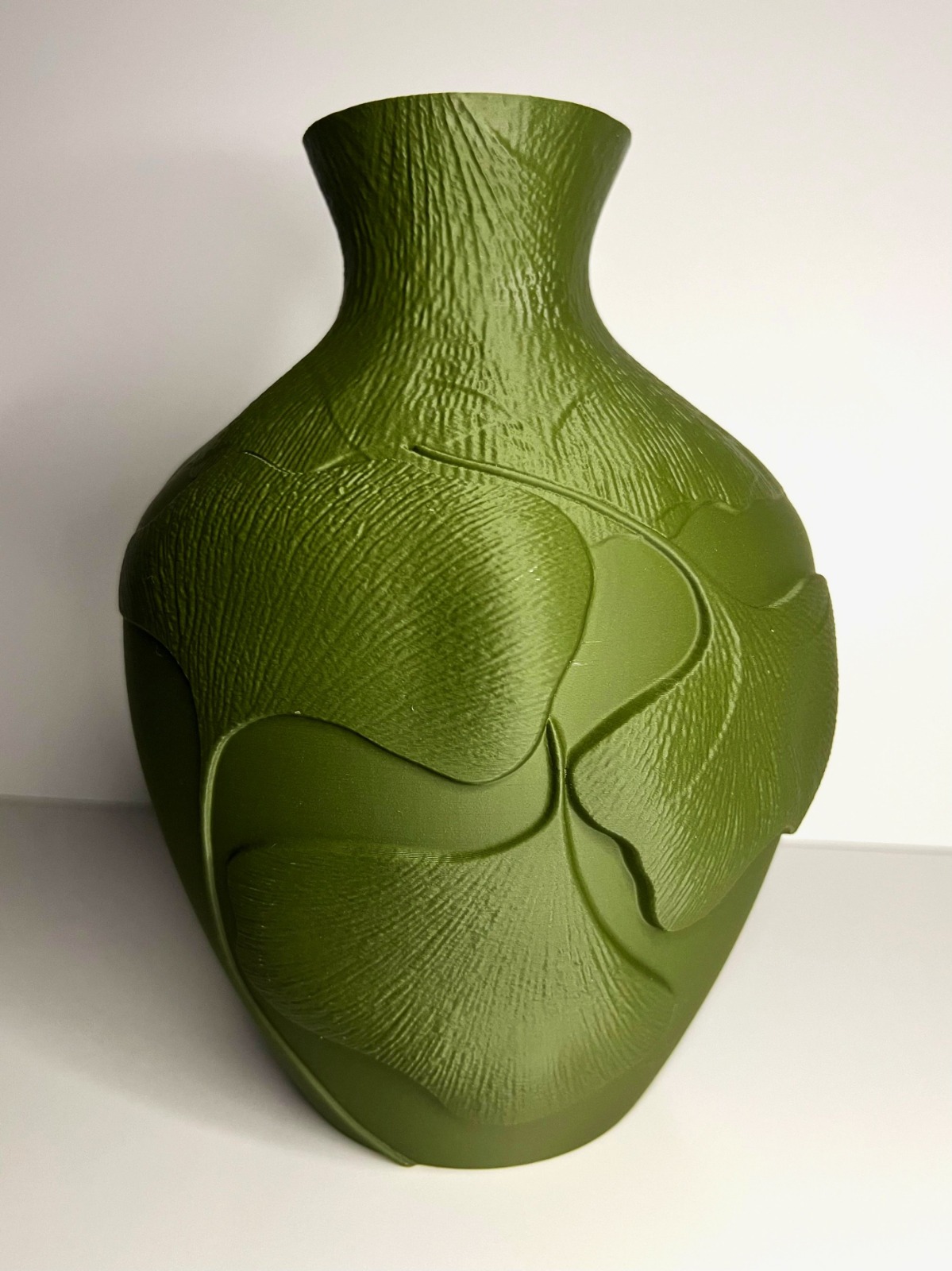 WhatsApp Image 2026-02-22 at 10.44.28 Verdant Ginkgo - imagine 1